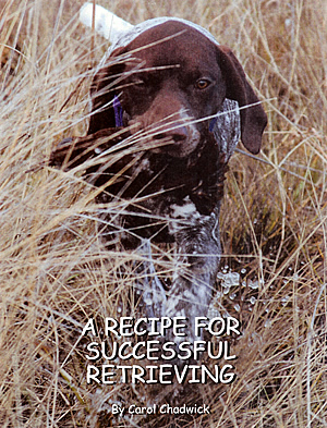 Recipe For Successful Retrieving