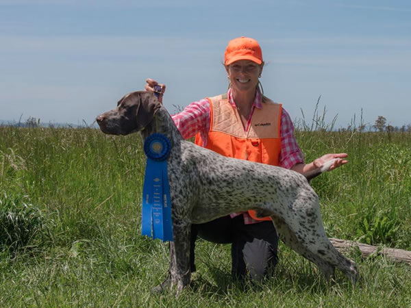 Dual Champion German Shorthaired Pointers