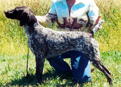 NMK's Lil' Miss Can't Be Wrong, JH