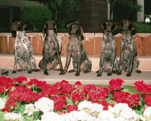 5 Girls At Fountain - 2006 NSS